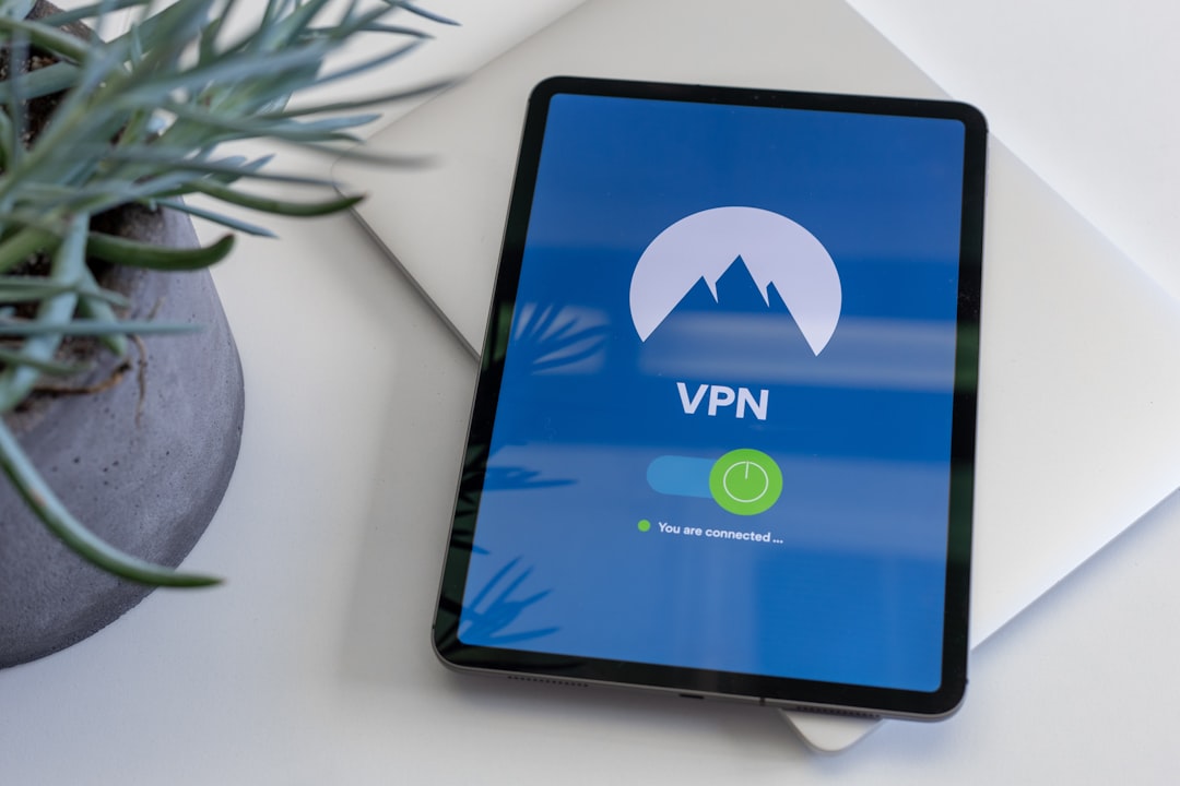 飞鸟VPN价格套餐详解：哪个方案最划算？